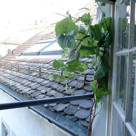Charming Centre Of Apartment Zurich