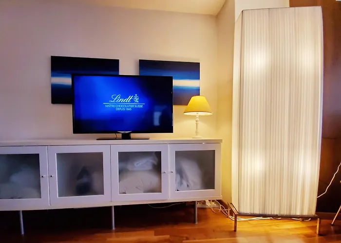 Apartment Charming Centre Of Zurich